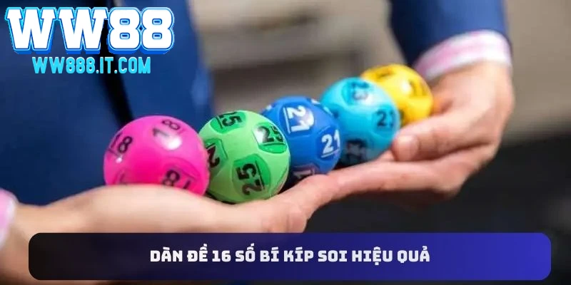 bi-kiep-su-dung-dan-de-16-so-hieu-qua-nhat