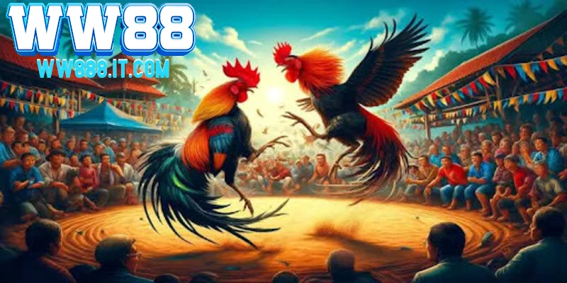 tong-quan-can-ban-ve-da-ga-c3-tai-ww88