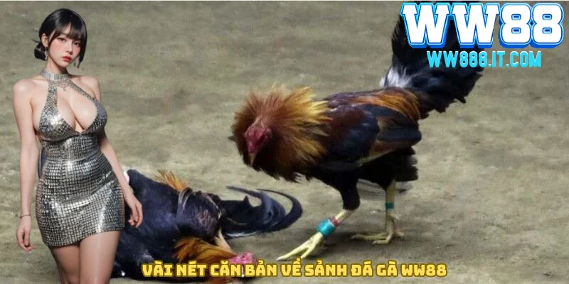 vai-net-can-ban-chi-tiet-ve-da-ga-ww88